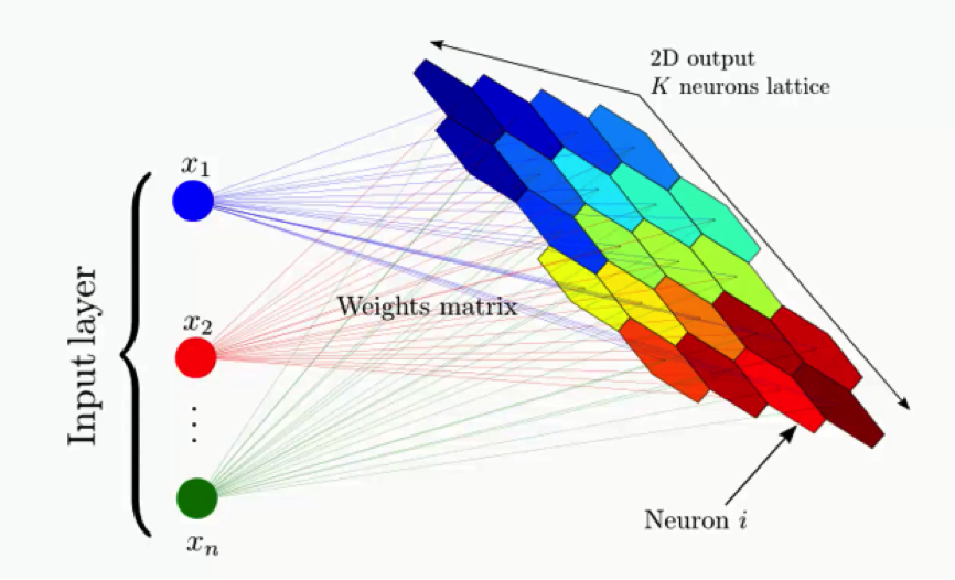 Architecture of Self-Organizing Maps (SOMs)