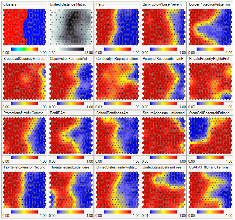 Architecture of Self-Organizing Maps (SOMs)